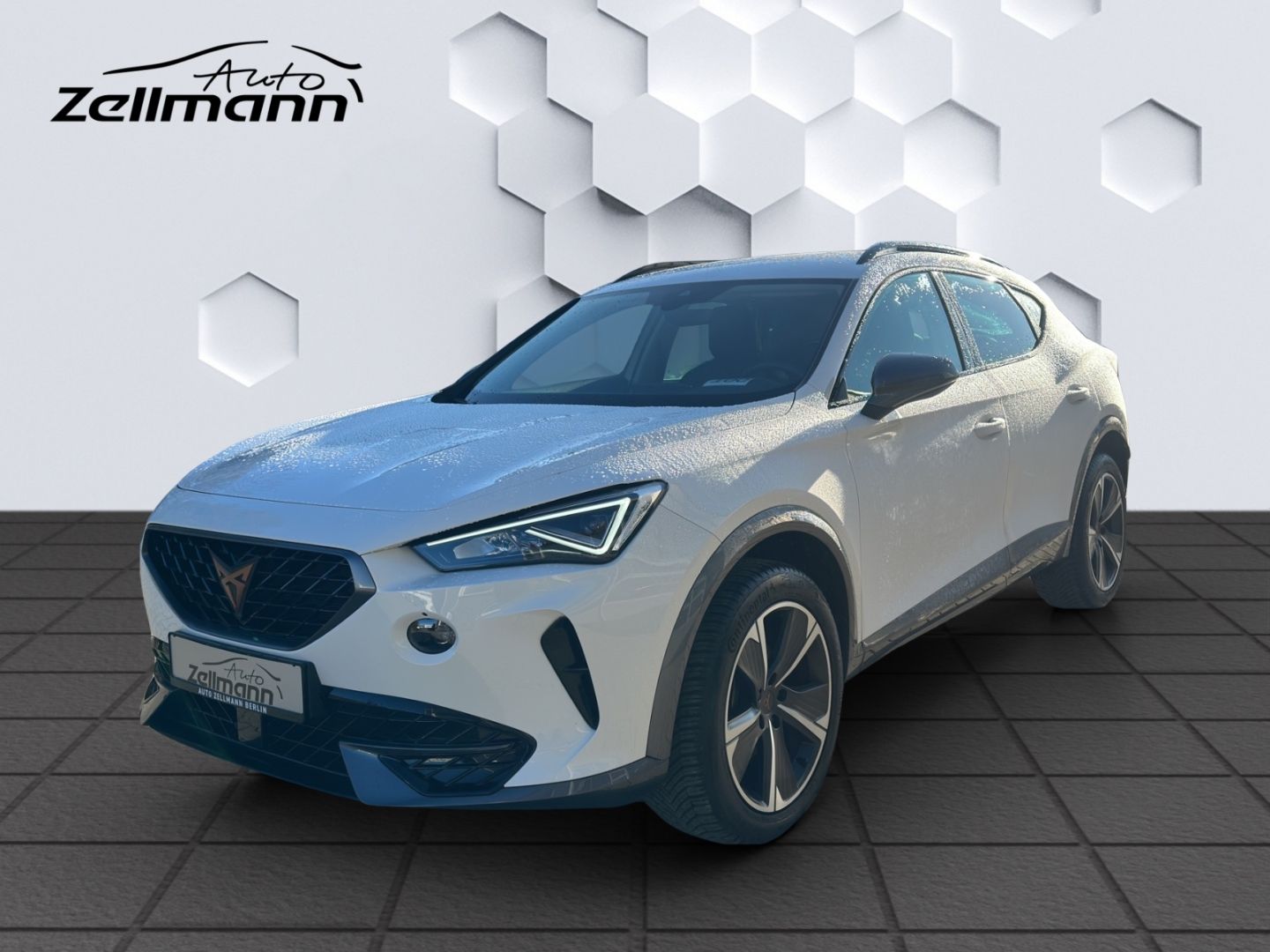 Formentor Basis 1.5TSI 110kW 6-Gang AHZV,LED, GJ