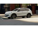 Volkswagen Tiguan 1.5 eTSI DSG Goal 3,99%AHK-klappbar Navi  - Volkswagen Tiguan: Goal