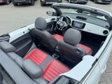 Volkswagen Beetle Cabriolet R-Line Design AutoLeder 20" ABT - Volkswagen Beetle: Automatik