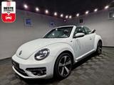 Volkswagen Beetle Cabriolet Allstar BTM 1.2 TSI|AUTOM|LEDER - Volkswagen Beetle Gebrauchtwagen