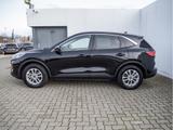 Ford KUGA TITANIUM X 2.5 PHEV NAVI ACC HUD B&O LED - Ford Gebrauchtwagen in Halle