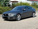 Jaguar XE Portfolio - Jaguar XE Gebrauchtwagen