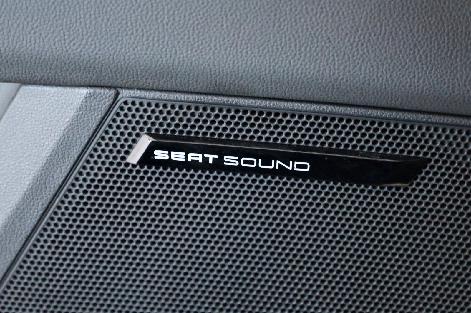 Fahrzeugabbildung SEAT Leon ST Xcellence T.Leder,Navi,LED,Apple CarPlay