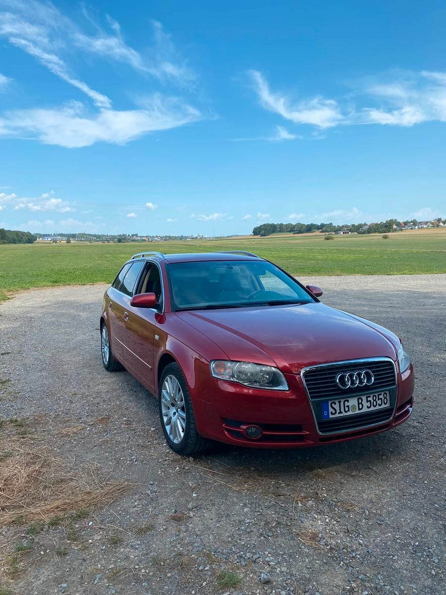Audi A4 2006 — вигляд ззаду