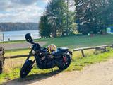 Harley-Davidson Xg750a Streetrod / Remus  - HARLEY-DAVIDSON 750 STREET