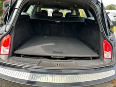 OPEL Insignia Foto 10
