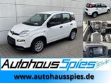 Fiat Panda 1.0 Mild Hybrid  Base Klima DAB - Fiat Panda aus 2023