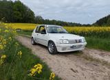 Peugeot 205 1.9 Rallye H-Abnahme Wagenpass - Peugeot 205: 1.9