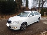 Skoda Octavia 1.8 TSI Sport Edition Combi Sport Ed... - Skoda Octavia mit Benzin-Antrieb: Kombi, Combi Sport Edition