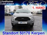 Ford EcoSport Active 1.0 EcoBoost EU6d Navi ,Klima,Xe - Ford EcoSport Active mit Benzin-Antrieb