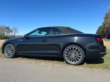 Audi A5 2.0 TDI 110kW S tronic Cabriolet SLine - Audi A5: Sline