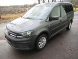 Volkswagen Caddy  Maxi 2.0TDI  Conceptline Camper Klima... - : Kleinbus, Camper
