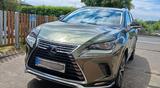 Lexus NX  300h Style Edition; Leder, Navi, Hybrid, LED - Lexus aus 2021