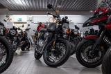 Royal Enfield Continental GT 650, sofort lieferbar,Einzelstück - Offers