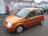 Fiat Panda 1.2 Emotion - Fiat Panda Emotion mit Benzin-Antrieb