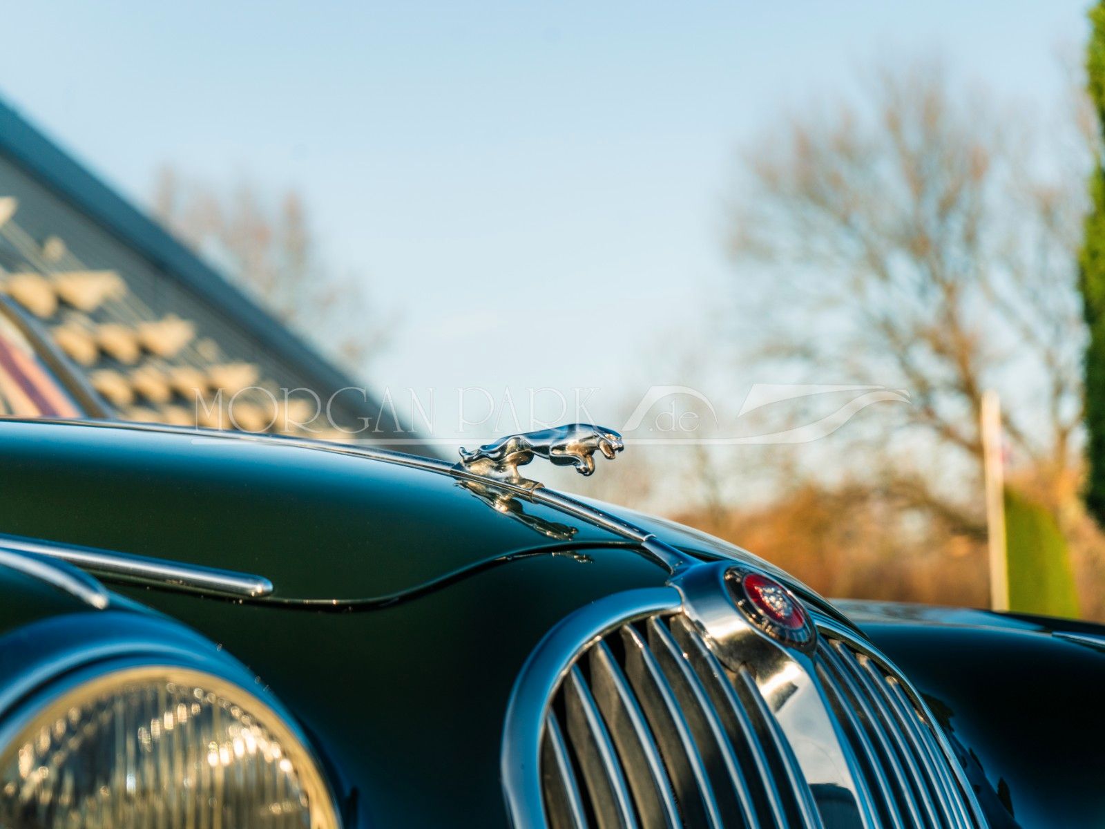 Fahrzeugabbildung Jaguar MK II 2,4 ltr. *Overdrive + restauriert*
