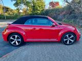 Volkswagen Beetle 1.4 TSI BMT SOUND Cabriolet SOUND - Volkswagen Beetle mit Benzin-Antrieb: Cabrio, 1.4