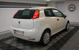 Fiat Punto 1.2 "Pop" KLIMA TÜV NEU 66TKM ALLWETTERR. - Fiat Punto: 3 Türen