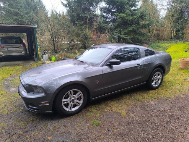 Ford Mustang  Coupe V6 3,7 *Tüv auf Wunsch Neu!*