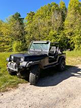 Jeep Wrangler YJ 4.0  - Jeep: Yj