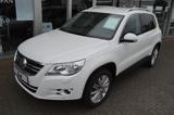 Volkswagen Tiguan (5N1)(11.2007->2011) Team BMT - : Taxi, Limousine