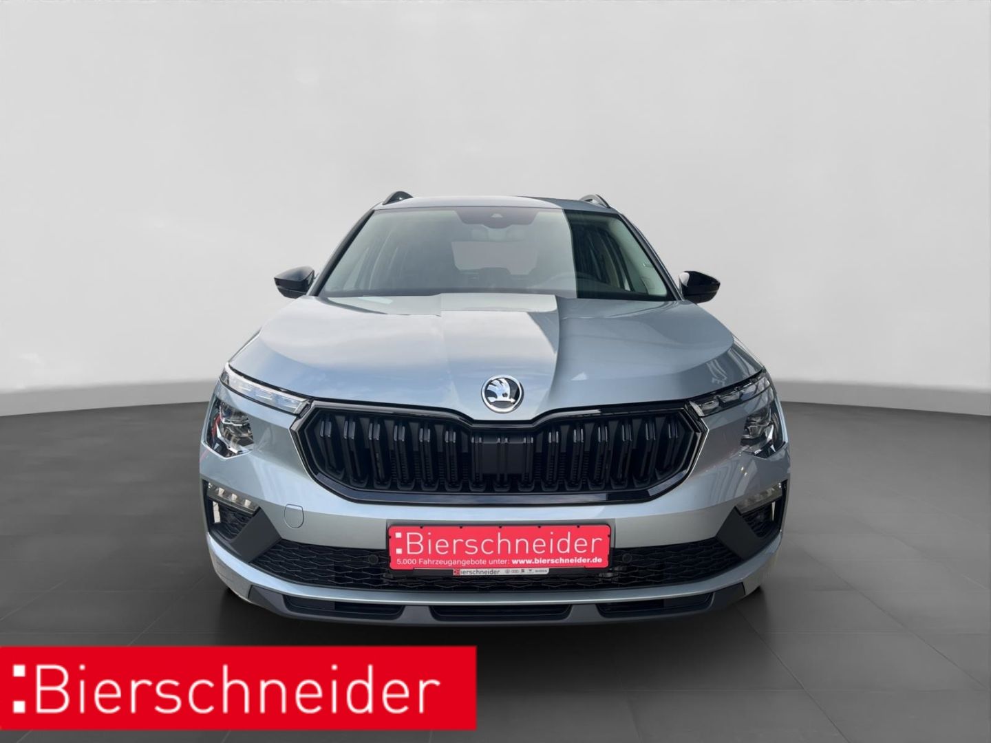 Skoda Kamiq - Bild 10
