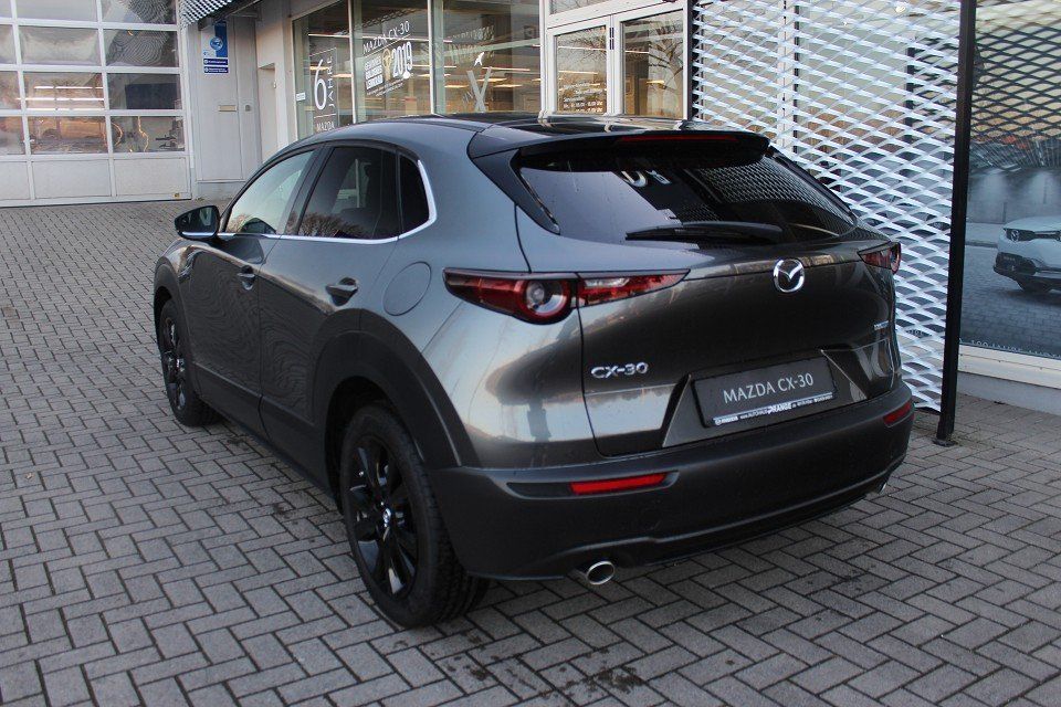 Fahrzeugabbildung Mazda CX-30 2025 M-Hybrid Homura X-186 NAVI ACAA SHZ H