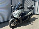 Honda FORZA 125 / 125er DEAL DAYS > 500 € SPAREN - Angebote entsprechen deinen Suchkriterien
