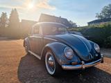 Volkswagen VW Käfer Ovali 1954 In Stratosilber  Herzc... - Autos aus dem Jahr 1954