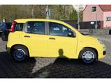 Fiat Pandina PANDA ICON HYBRID 1.0 GSE 65PS PDC RADIO - Fiat von 2026