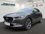 Mazda CX-30 e-SKYACTIV-X 186 Autom. Takumi - Mazda CX-30 mit Hybrid-Antrieb: Takumi