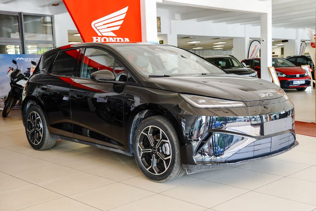 Image of BYD DOLPHIN