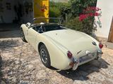 Austin Andere HEALEY SPRITE MK1*SCHÖNES FAHRZEUG*H-KZ* - Austin Gebrauchtwagen