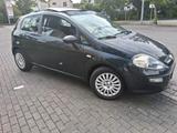 Fiat Punto evo - gebrauchte Fiat Punto Evo aus dem Jahr 2009