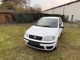Fiat Punto 1.2 8V - - Fiat Punto aus 2004: 1.2