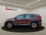 Honda CR-V 1.5T 2WD Comfort - Honda CR-V: Comfort