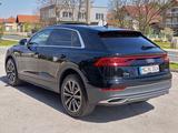 Audi Q8 50 TDI quattro tiptronic - - Audi Q8 in Mönchengladbach