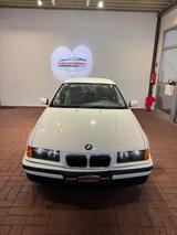 BMW 316 - BMW 316 in Essen