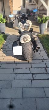 Suzuki Intruder  - SUZUKI INTRUDER
