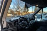 Ford Transit Kasten 350 L4Trend TÜV NEU/R-CAM/SORTIMO - Ford Transit: 4.4