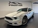 Ford FORD MUSTANG 5.0 SALEEN V8 GPL PRONTA CONSEGNA - Ford Mustang: Saleen