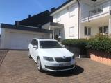 Skoda Octavia 1.6 TDI Green tec Edition Combi Edition - Skoda Octavia mit Diesel-Antrieb: Allradantrieb, Kombi, 1.6