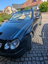 Mercedes-Benz Mercedes Cabriolet - Mercedes-Benz CLK 240: Cabrio
