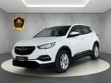 Opel Grandland(X) EDITION*INTELLiLINK*WINTERPAKET*SHZ - Opel Grandland (X): Weiß