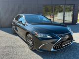Lexus ES300h Business Line  - ACC, LED, SCHIEBEDACH - Lexus: Sc300