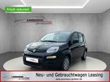 Fiat Panda 1.0 Firefly Hybrid //PDC hinten/Spurhaltea - Fiat Panda Jahreswagen
