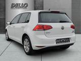 Volkswagen Golf Comfortline BlueMotion 1.4 TGI Sperrdiff. A - Volkswagen Golf mit CNG-Antrieb