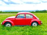 Volkswagen Käfer, BJ 2005 - Volkswagen Käfer Gebrauchtwagen