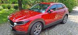 Mazda CX-30 2.0 SKYACTIV-G M-Hybrid/Garantie  - Mazda CX-30: Privatanbieter