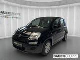 Fiat Pandina 1.0 GSE Hybrid 48 kW Icon - schwarze Fiat New Panda